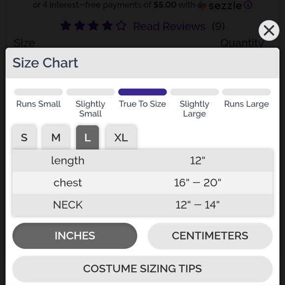Dog Triceratops Costume - Picture 7 of 7